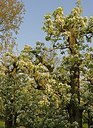 BUITEN BEELD Foto: 201894