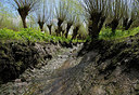 BUITEN BEELD Foto: 201905
