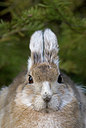 BUITEN BEELD Foto: 202071