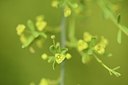 BUITEN BEELD Foto: 202440