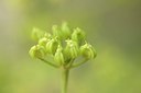BUITEN BEELD Foto: 202471
