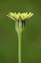 BUITEN BEELD Foto: 202598