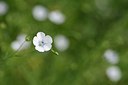 BUITEN BEELD Foto: 202650