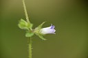 BUITEN BEELD Foto: 202680