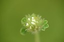 BUITEN BEELD Foto: 202790