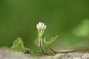 BUITEN BEELD Foto: 202918