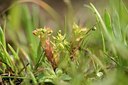 BUITEN BEELD Foto: 202969
