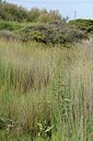 BUITEN BEELD Foto: 202976