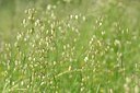 BUITEN BEELD Foto: 203048