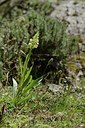 BUITEN BEELD Foto: 203146