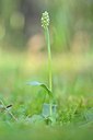 BUITEN BEELD Foto: 203172