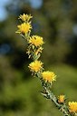 BUITEN BEELD Foto: 203324