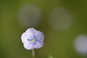 BUITEN BEELD Foto: 203381