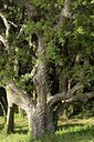 BUITEN BEELD Foto: 203389