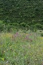 BUITEN BEELD Foto: 203415