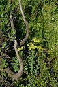 BUITEN BEELD Foto: 203431