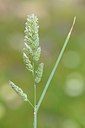 BUITEN BEELD Foto: 203462