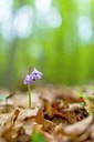 BUITEN BEELD Foto: 203560