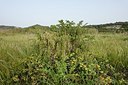BUITEN BEELD Foto: 203629