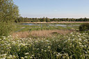 BUITEN BEELD Foto: 203694