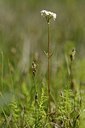 BUITEN BEELD Foto: 203747