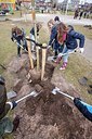 BUITEN BEELD Foto: 203917