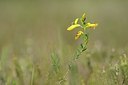 BUITEN BEELD Foto: 203959