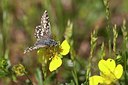 BUITEN BEELD Foto: 204162