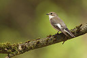 BUITEN BEELD Foto: 204241