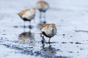 BUITEN BEELD Foto: 204518