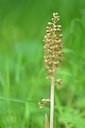 BUITEN BEELD Foto: 204534