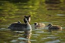 BUITEN BEELD Foto: 204740