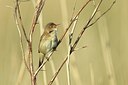 BUITEN BEELD Foto: 204745