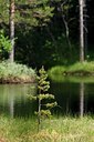 BUITEN BEELD Foto: 204761