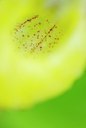 BUITEN BEELD Foto: 204916