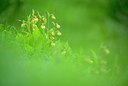 BUITEN BEELD Foto: 204928