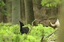 BUITEN BEELD Foto: 204976