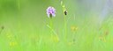 BUITEN BEELD Foto: 205069