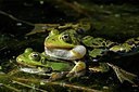 BUITEN BEELD Foto: 205179