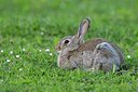 BUITEN BEELD Foto: 205260