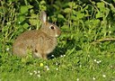 BUITEN BEELD Foto: 205322