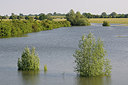 BUITEN BEELD Foto: 205331