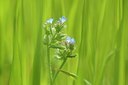 BUITEN BEELD Foto: 205506
