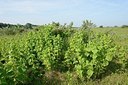 BUITEN BEELD Foto: 205588