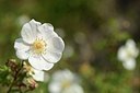 BUITEN BEELD Foto: 205608