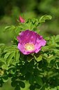 BUITEN BEELD Foto: 205609