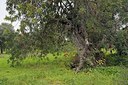 BUITEN BEELD Foto: 205677