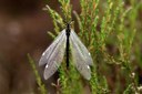 BUITEN BEELD Foto: 205685