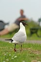 BUITEN BEELD Foto: 205773