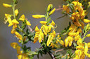 BUITEN BEELD Foto: 205843